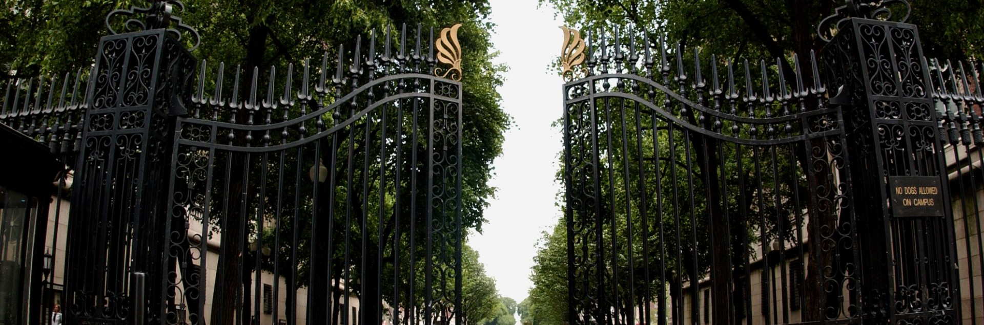 Gates
