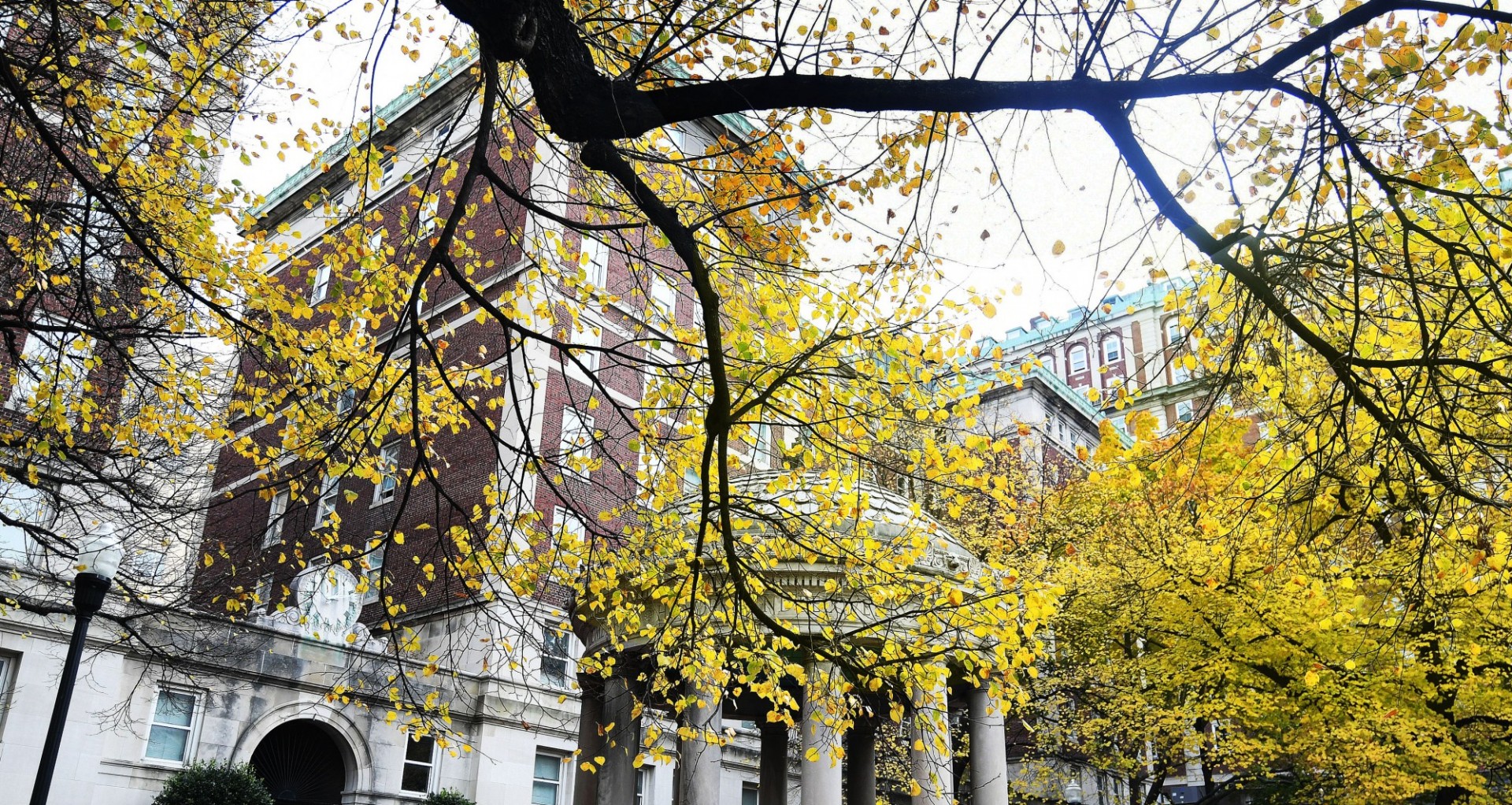 Image of building and foliage. 