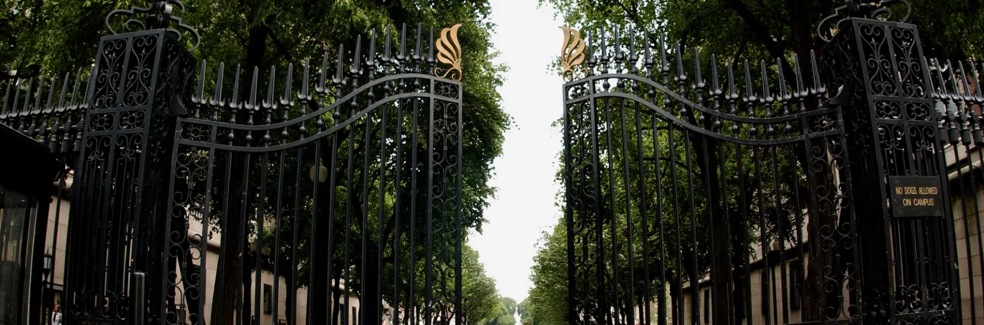 Gates