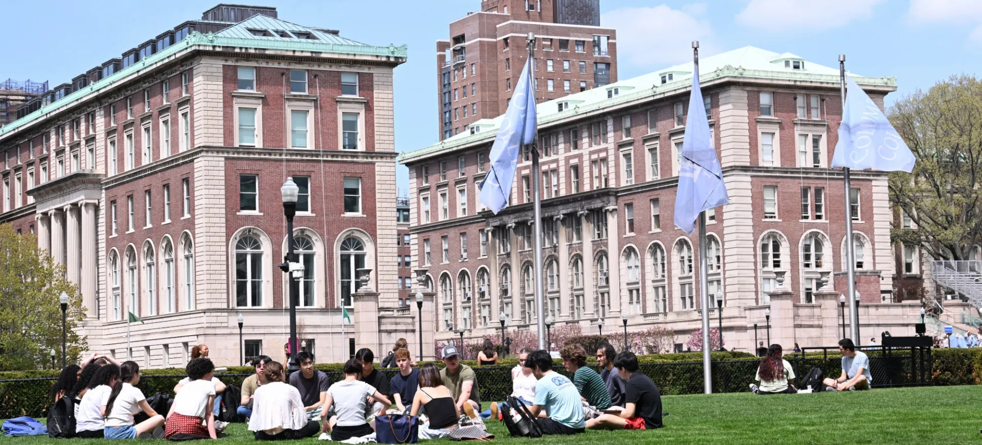 Image of students on the lawn